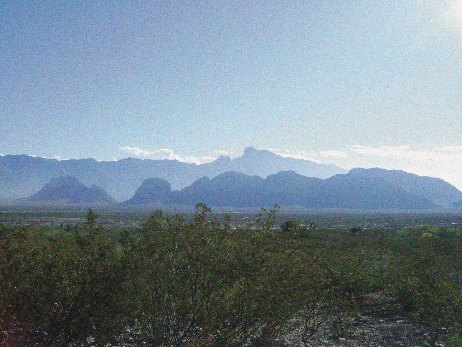 WikimediaCommons/Tereso Hernández.