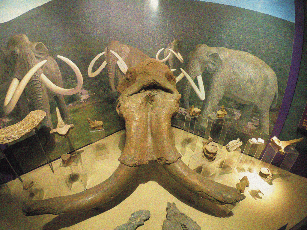 Corporación para el Desarrollo Turístico de Nuevo León.